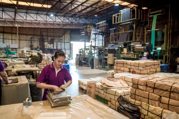 งานมาตรฐานพร้อมจำหน่าย08